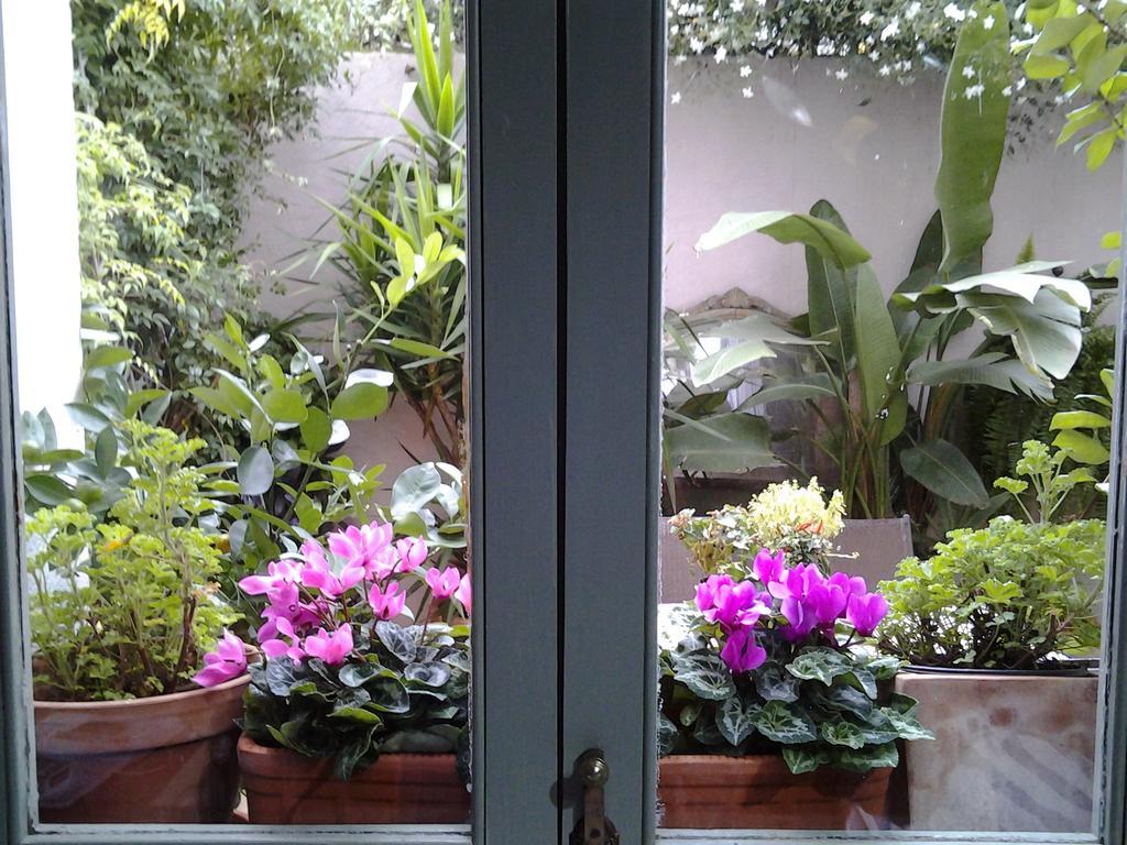 Casa Les Olives - Adults Only Guest House Benigembla Luaran gambar